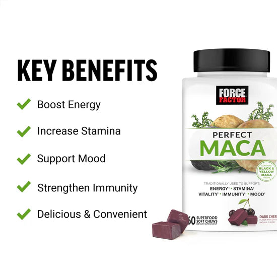Force Factor Perfect Maca supplement bottle with key benefits listed on a white background