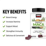 Force Factor Perfect Maca supplement bottle with key benefits listed on a white background