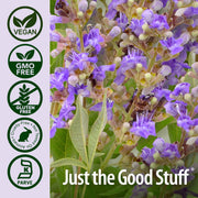 Nature’s Answer Vitex Chasteberry Vegetarian Capsules - 90 Count