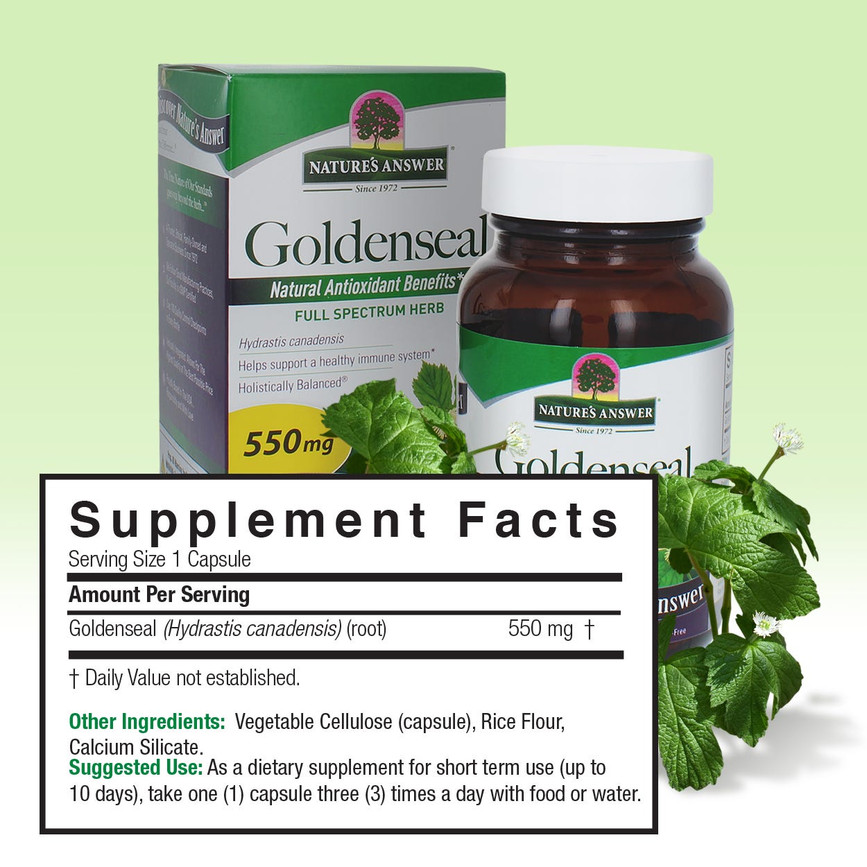 Nature’s Answer Goldenseal Root supplement facts 550mg 50 vegetarian capsules back label