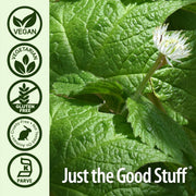 Nature’s Answer Goldenseal Root Vegetarian Capsules 550mg – 50 Count