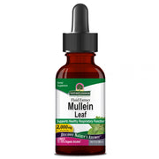 Bottle of Nature's Answer Mullein Leaf fluid extract on a white background