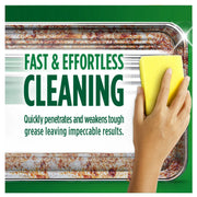 Fairy Antibacterial Eucalyptus Washing Up Liquid 900ml bottle displayed beside clean dishes and kitchen