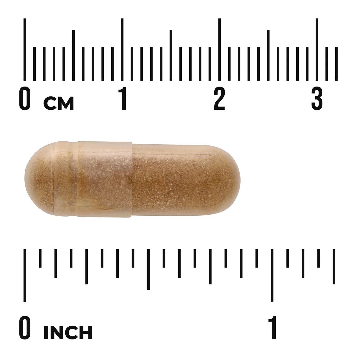 Swanson Shilajit Extract 400mg 60 Veggie Capsules size comparison with measurement scale