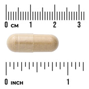 Swanson Milk Thistle Combination 175 mg – 60 Capsules capsule size comparison with measurement scale