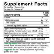 Nature's Answer Apple Cider Vinegar + Ginger Gummies – 45 Vegan Pectin Gummies with “The Mother”