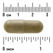 Swanson Full Spectrum Moringa Oleifera herbal supplement capsule bottle 60 capsule size
