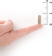 Garden of Life Vitamin Code Raw Iron Supplement bottle, 60 capsules size