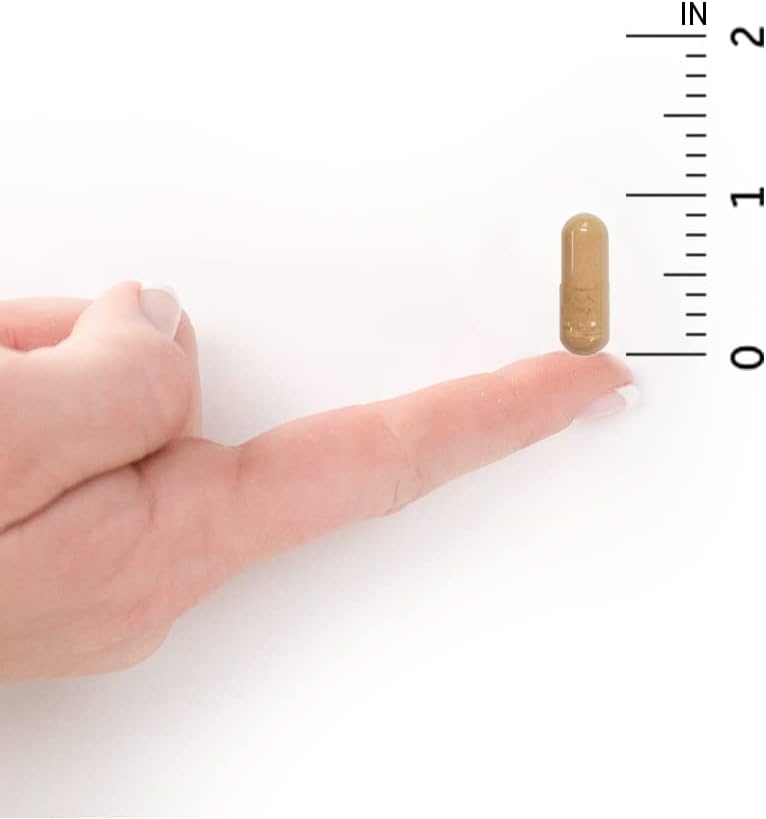 Size of Garden of Life Raw Women's Probiotic showing ingredients and directions.