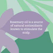 Faith In Nature Rosemary Stimulating Conditioner, bottle packaging, rosemary, 400ml, ingredients