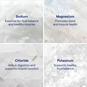 Four quadrants showing different minerals with their functions on a white background.