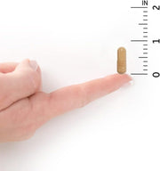 Supplement facts panel for Raw B Complex showing B vitamins, whole food & probiotic blends size