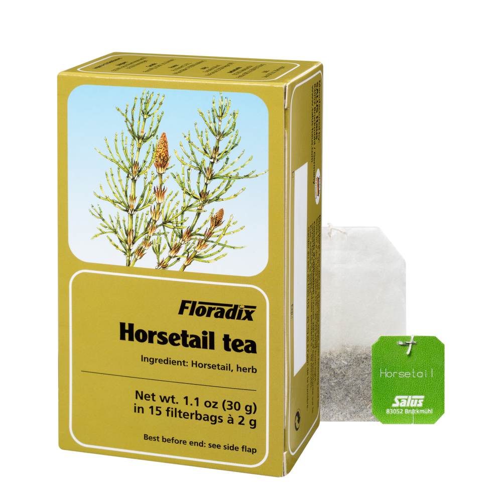 Box of Floradix Horsetail Herbal Tea showing 15 teabags, 2g each.