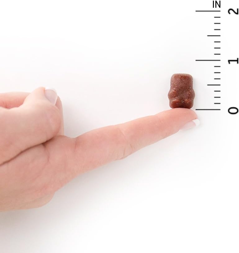 Garden of Life Kids Multi Gummies - Organic Fruit Flavor size