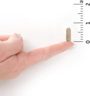 Garden of Life Vitamin Code Women's Multivitamin bottle, 120 capsules size