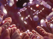 Hey Nutrition Women's Multivitamin with Folic Acid & Iron - 60 Capsules