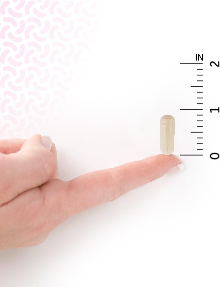 Garden of Life Probiotics Mood+ 60 vegetarian capsules size