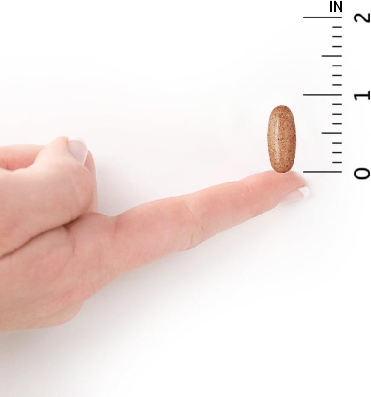 Garden of Life Organics Once Daily Whole Food Multivitamin Vegan Tablet size