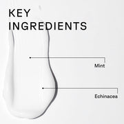 Acure Vivacious Volume Conditioner ingredient label peppermint echinacea quinoa protein 236ml