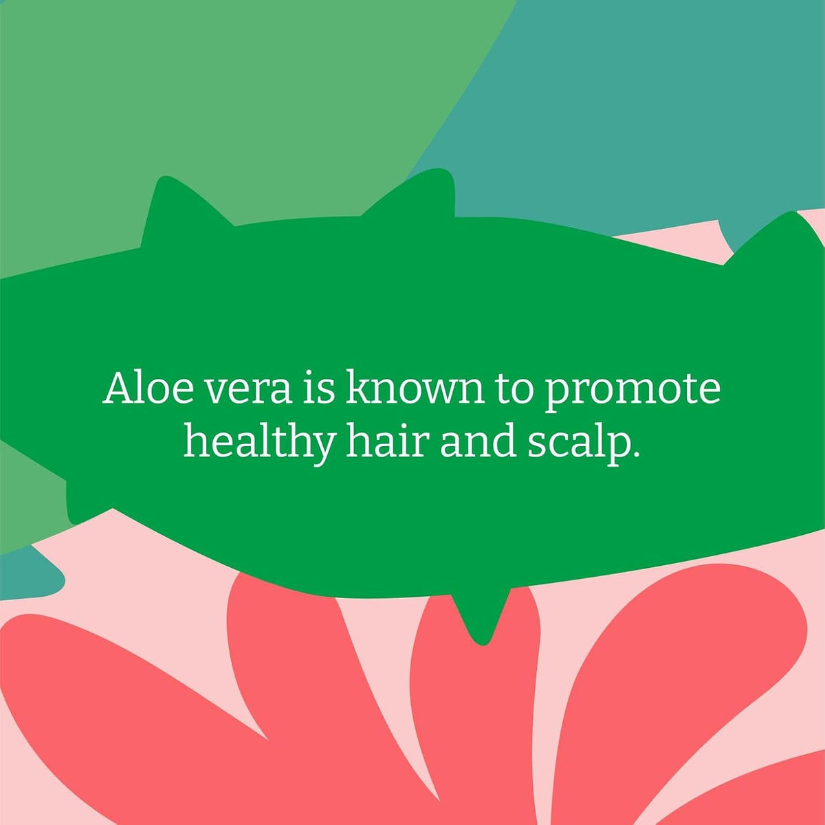 Faith In Nature Aloe Vera Soothing Shampoo Refill, 5 litre refill bottle packaging, aloe vera, 5L, ingredients