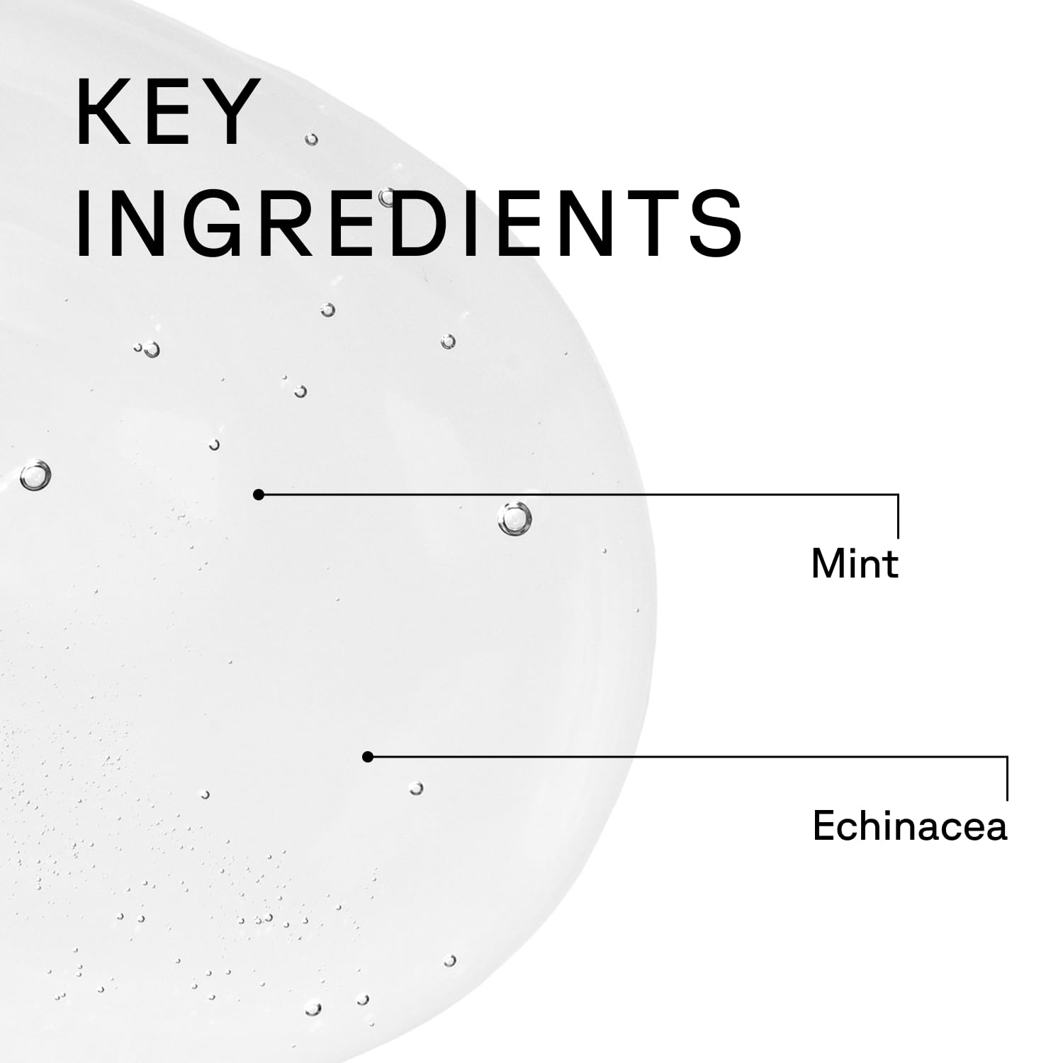 Acure Vivacious Volume Shampoo ingredient label peppermint echinacea quinoa protein 236ml