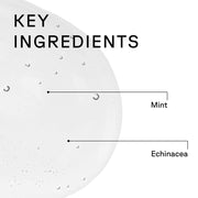 Acure Vivacious Volume Shampoo ingredient label peppermint echinacea quinoa protein 236ml