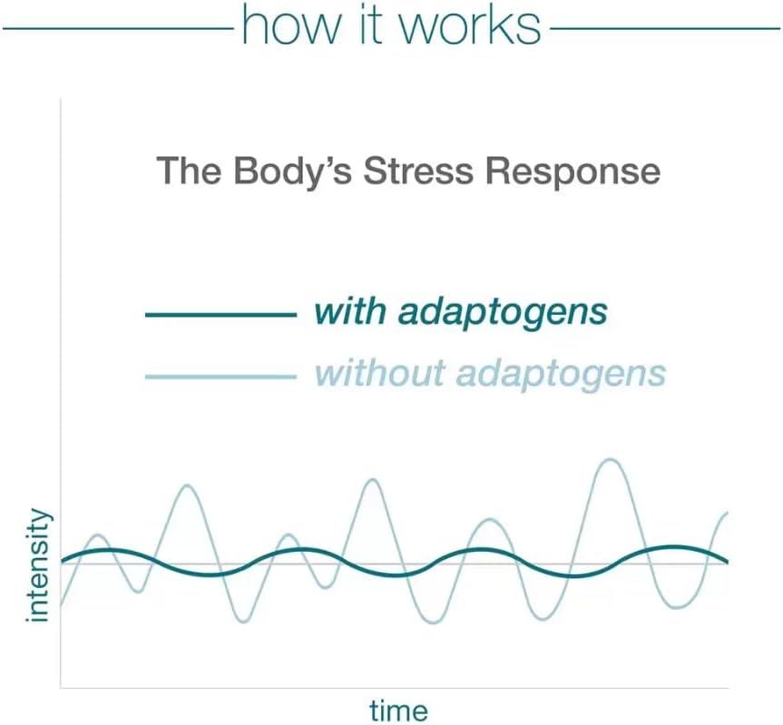 Graph comparing the body's stress response with and without adaptogens on a white background.