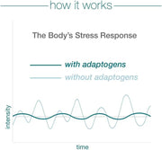 Graph comparing the body's stress response with and without adaptogens on a white background.