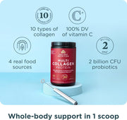Ancient Nutrition Multi Collagen Protein Powder 404g mixed into a smoothie as part of a daily routine