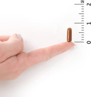 Garden of Life Vitamin Code Raw B-12, 30 capsules size.