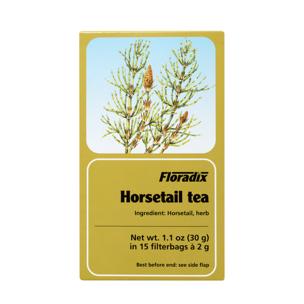 Box of Floradix Horsetail Herbal Tea showing 15 teabags, 2g each.