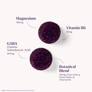 Natrol Sleep & Restore Magnesium Glycinate & GABA Gummies - 60 Count