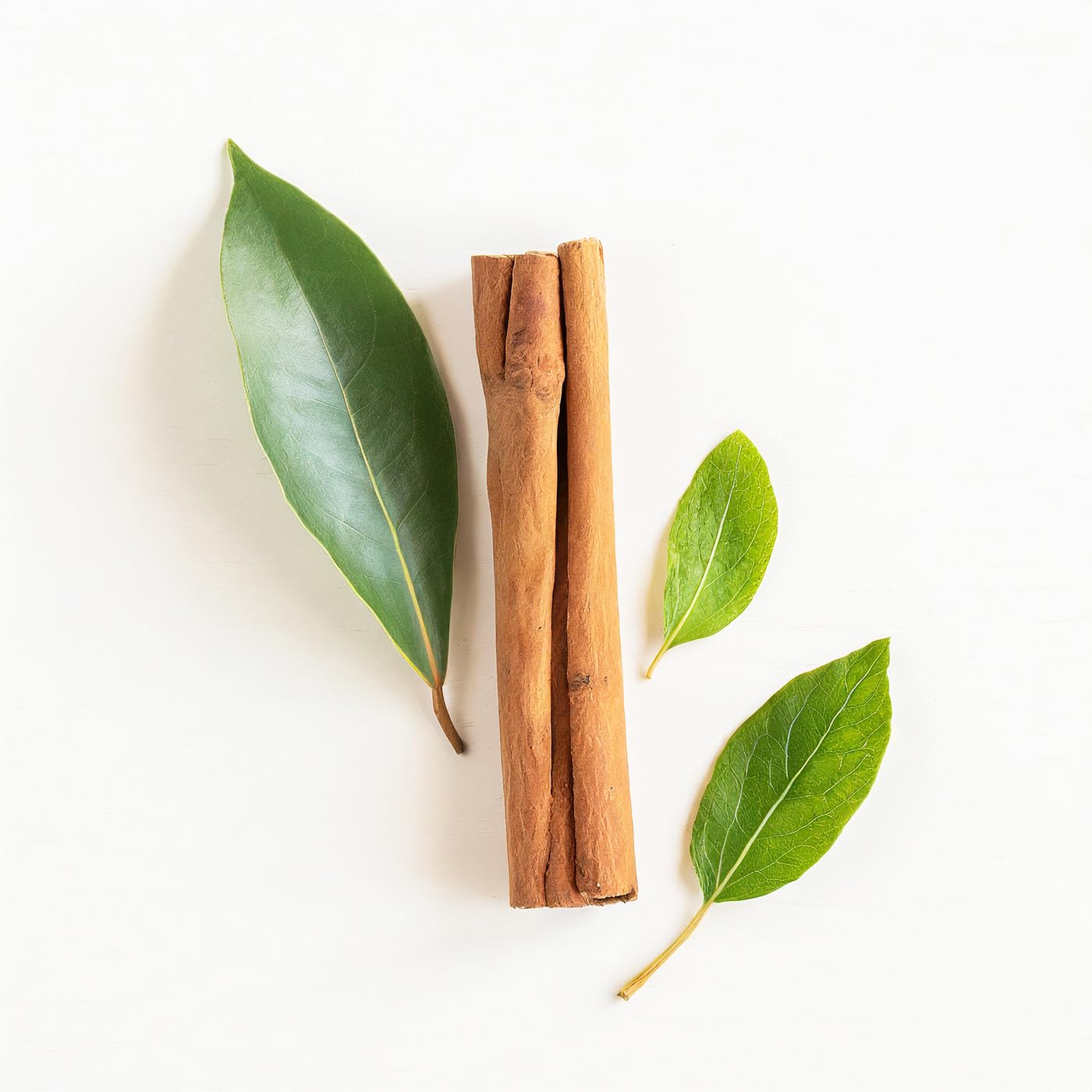 Essential Oxygen BR Organic Mouthwash Brushing Rinse - Cinnamint