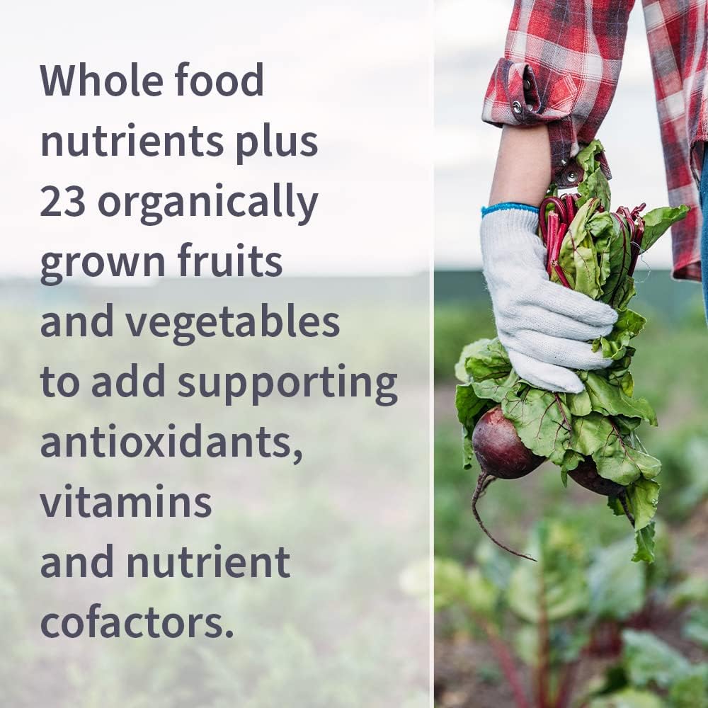 Garden of Life Vitamin Code Whole Food Multivitamin - 240 Capsules