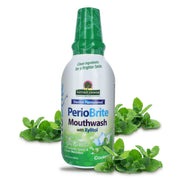Nature’s Answer PerioBrite Cool Mint alcohol-free mouthwash 480ml bottle front view