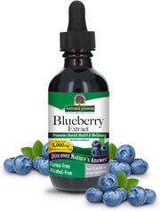 Nature's Answer Blueberry Fruit Extract Alcohol-Free 60ml liquid supplement front label with blueberry