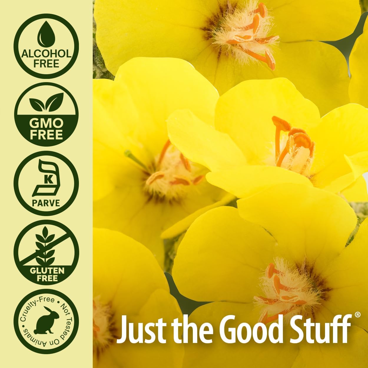 Nature’s Answer Mullein Leaf Extract Alcohol-Free Liquid - 30ml