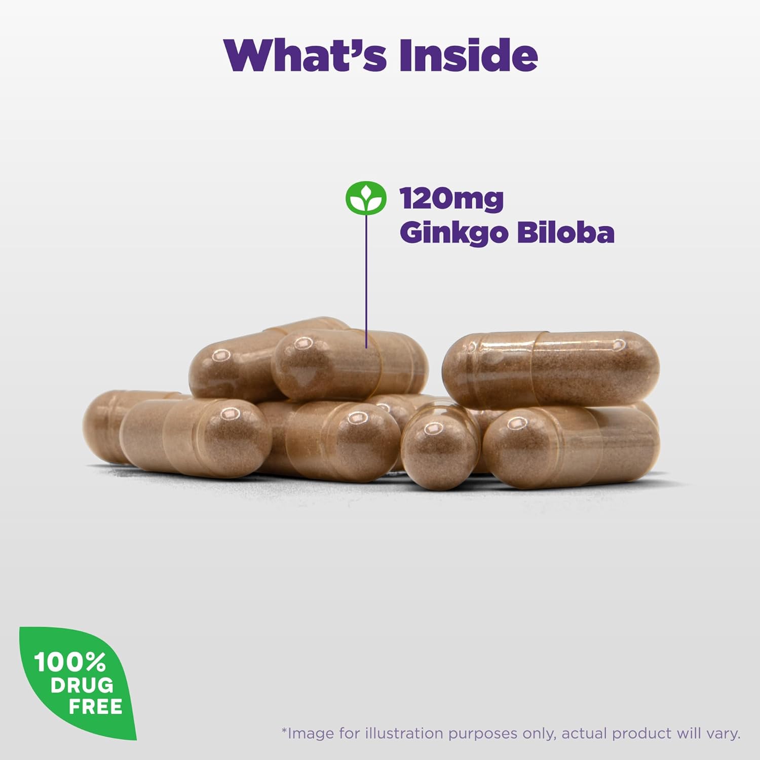 Natrol Ginkgo Biloba herbal dietary supplement capsules 