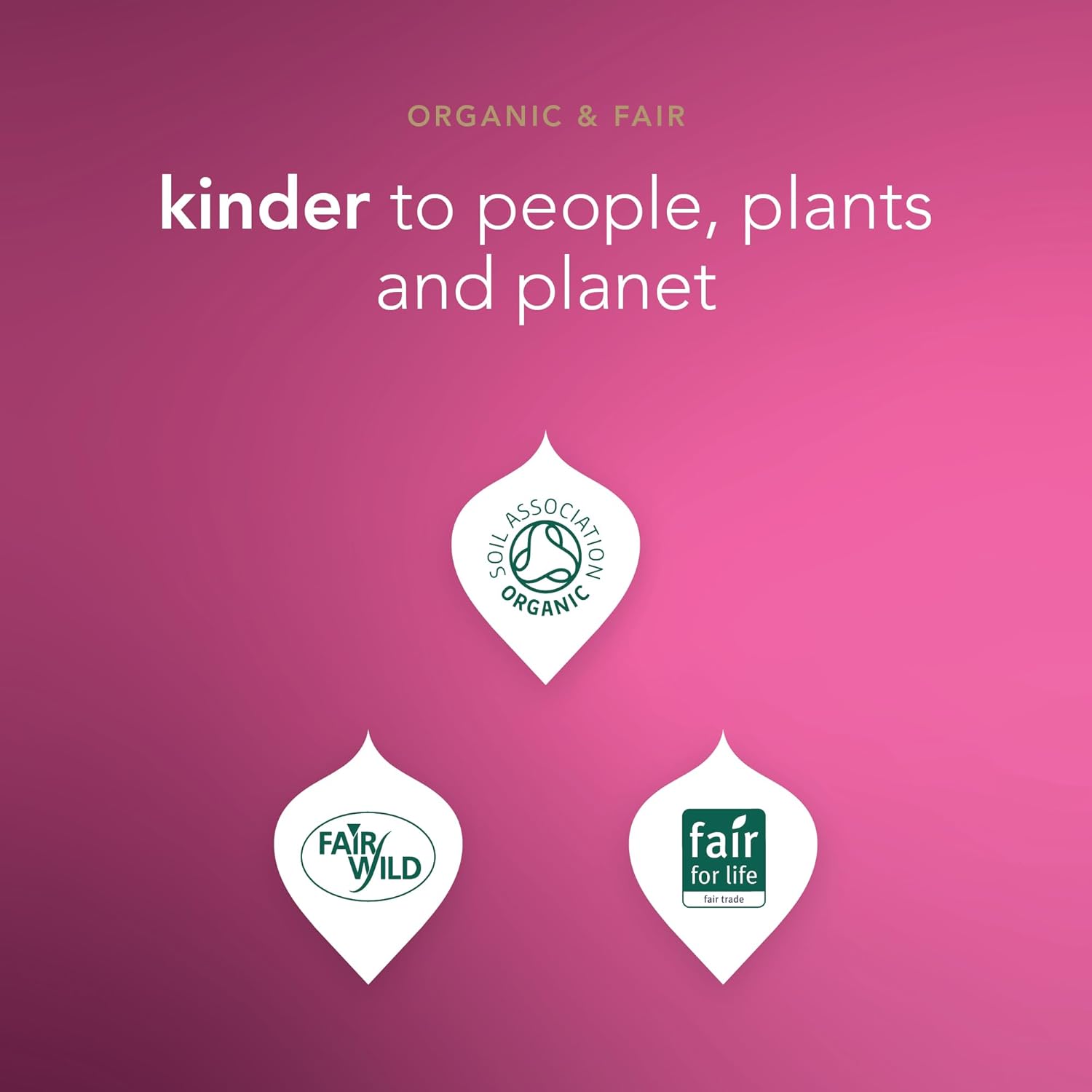 Pukka Organic Herbal Tea, Morning Berry - 20 Sachets