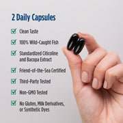 Nordic Naturals Omega Blend, Citicoline & Bacopa Extract - 60 Soft Gels