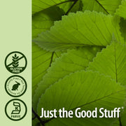 Nature’s Answer Slippery Elm Extract,  Alcohol-Reduced – 2,000 mg, 60 ml