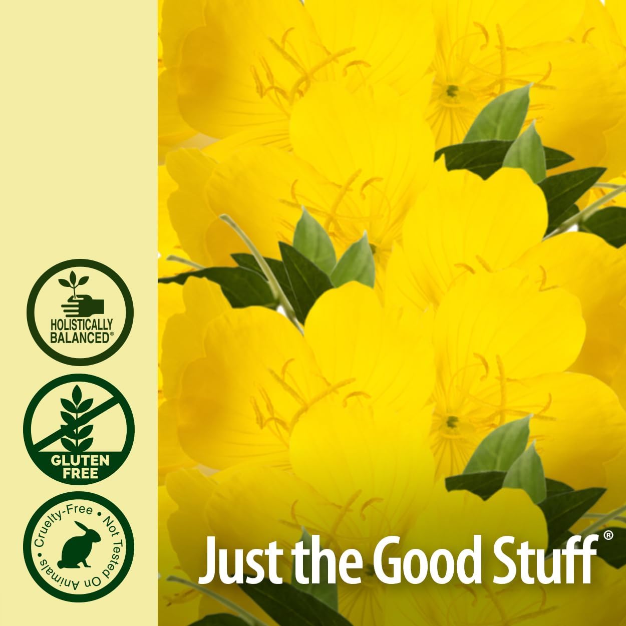 Nature’s Answer Evening Primrose Oil – Natural Source of GLA, 120 mL, Liquid with Quik-Sorb®