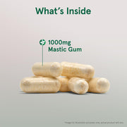 Jarrow Formulas Mastic Gum 1000 mg  60-120 Veggie Capsules