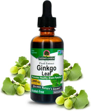 Nature's Answer Alcohol-Free Ginkgo Leaf Extract 30ml liquid herbal supplement front label