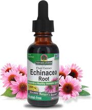 Nature's Answer Alcohol-Free Echinacea Extract 30ml liquid herbal supplement front label