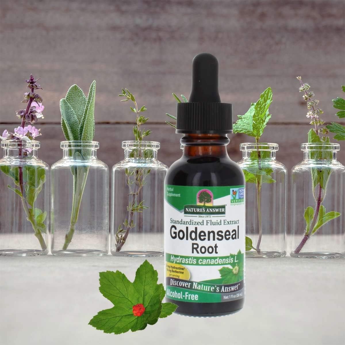 Nature's Answer Goldenseal Root Extract Alcohol-Free - 30ml