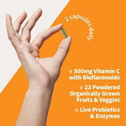 Garden of Life Vitamin Code Raw Vitamin C 500mg Veg Capsules