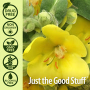 Nature’s Answer Mullein Leaf Herbal Liquid Supplement with Honey 120ml