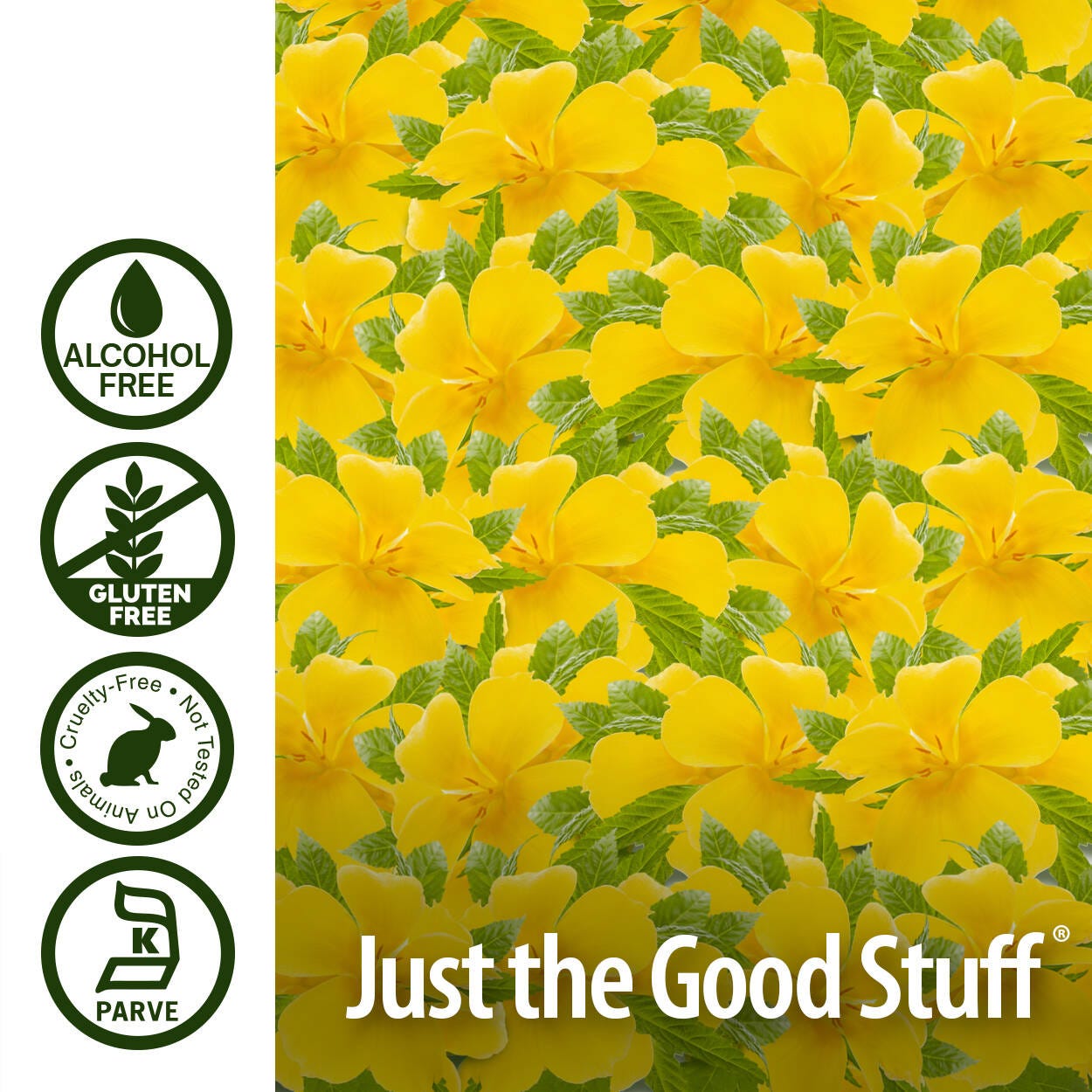 Nature’s Answer Damiana Leaf Alcohol-Free Herbal Extract 2500mg – 30ml