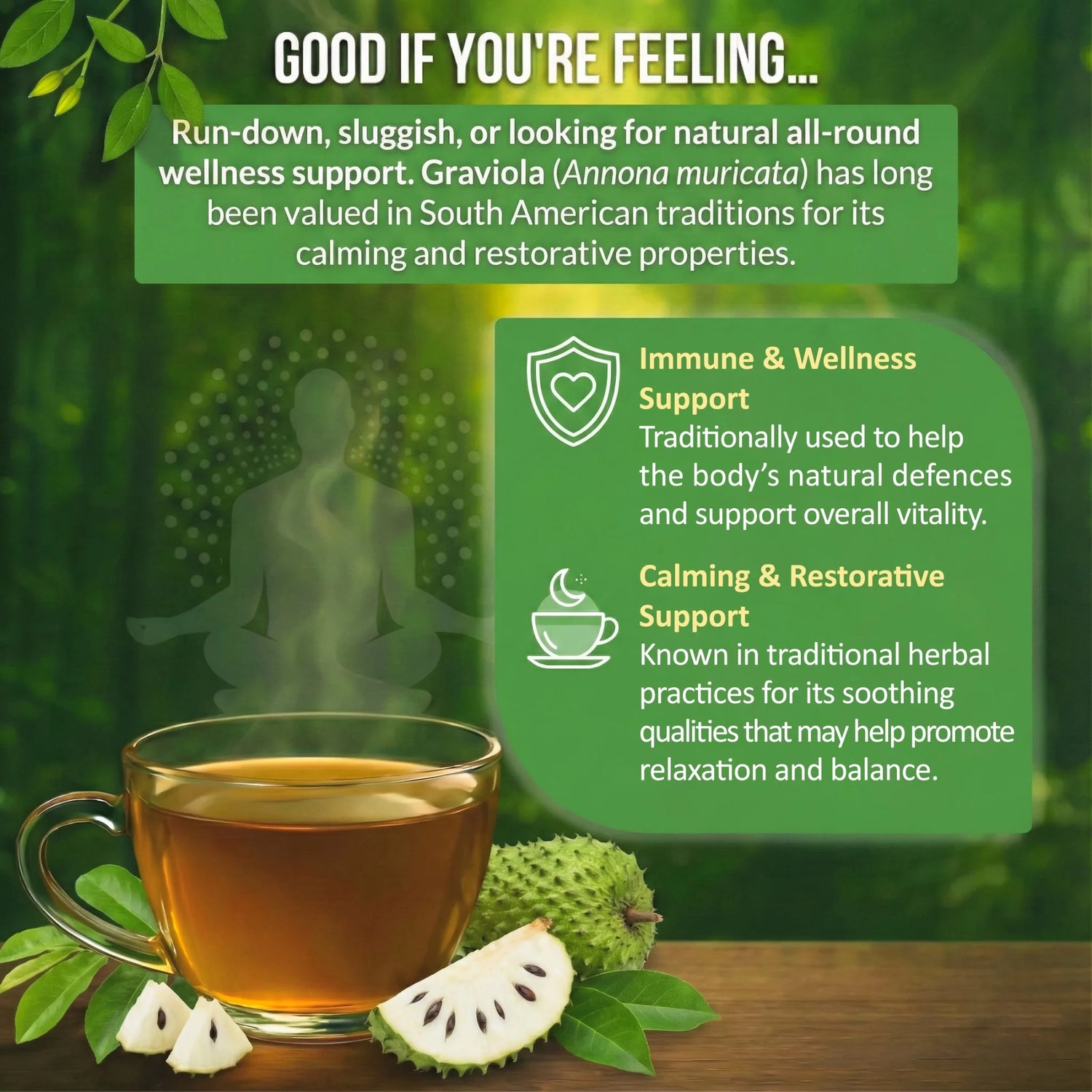 Rio Amazon Graviola Leaf Tea Infusion ingredient information herbal tea 90 teabags
